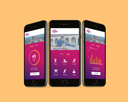Flex Fitness App Concept